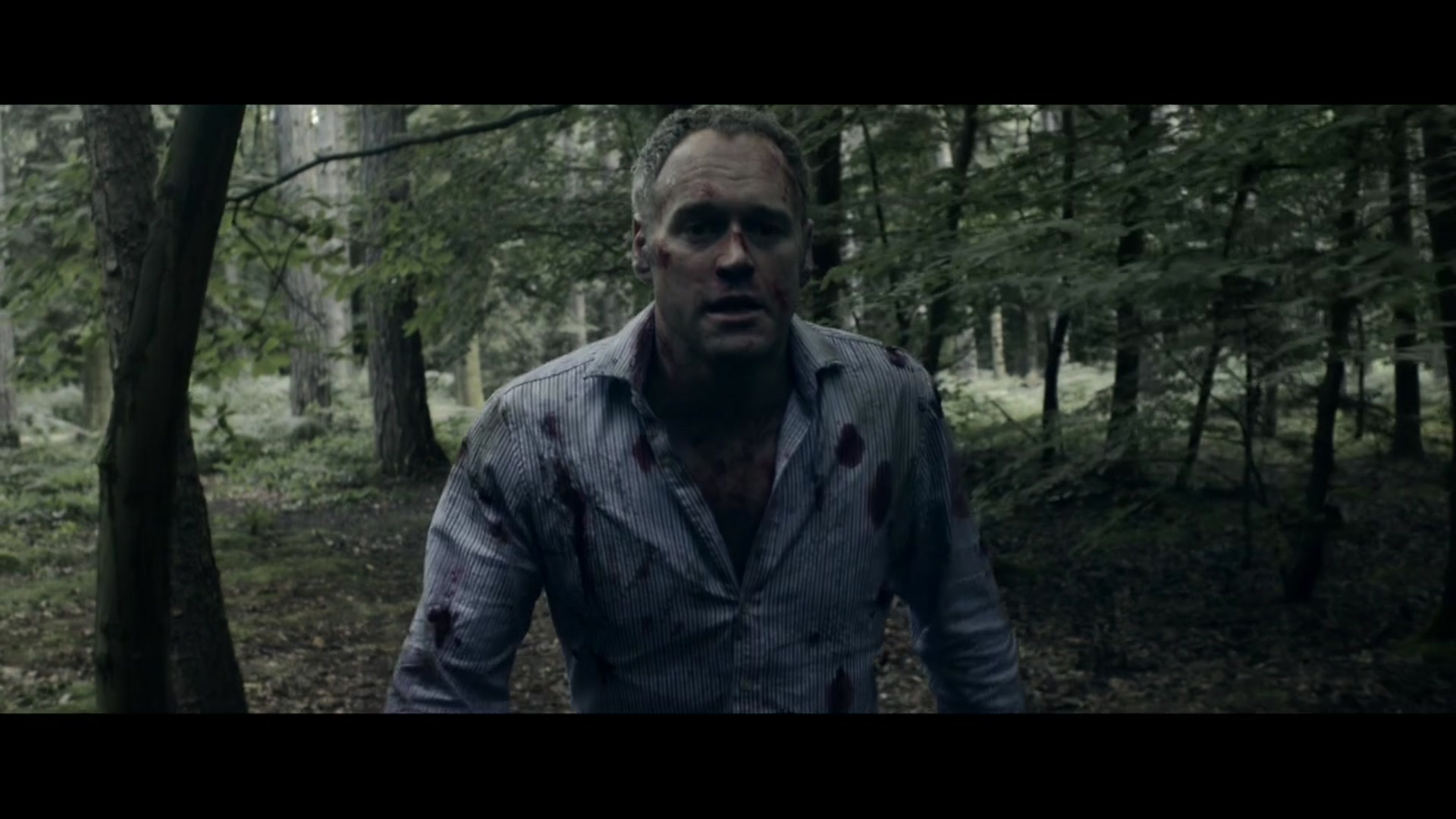 Amazon De Howl Dt Ov Ansehen Prime Video