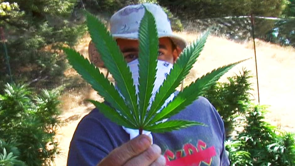 Watch A Norml Life Online