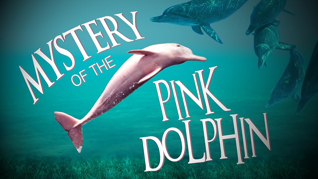 Watch Mystery Of The Pink Dolphin Prime Video