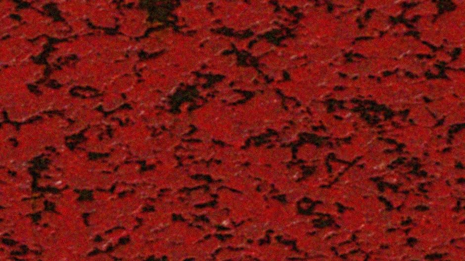 Watch Deadwood Park Online Full Movie