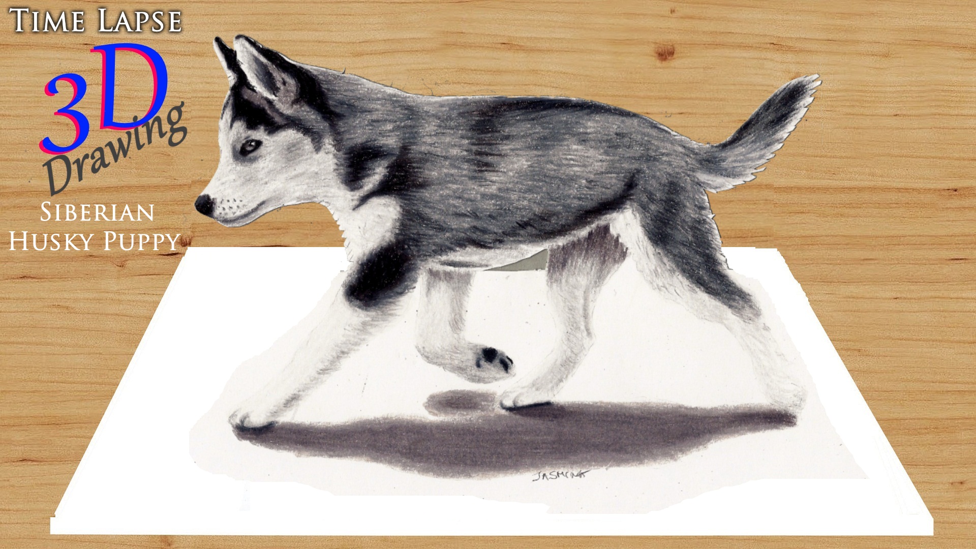 Watch Clip Time Lapse 3d Drawing Siberian Husky Puppy Prime Video