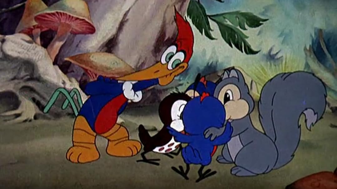 Watch Classic Cartoon Collection Woody Woodpecker And Friends
