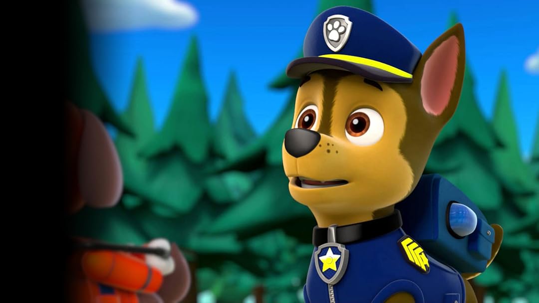 paw patrol jake figure
