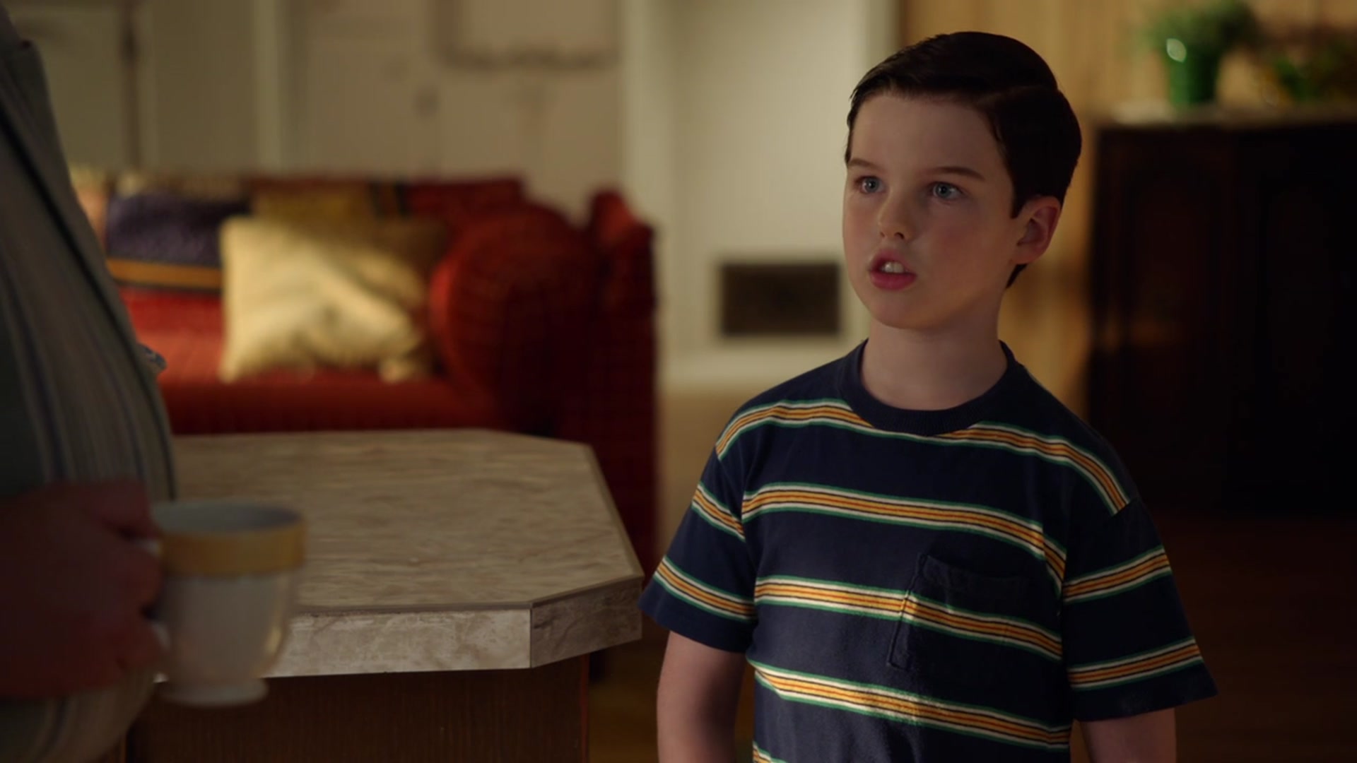 Young Sheldon Season 2 Where To Watch