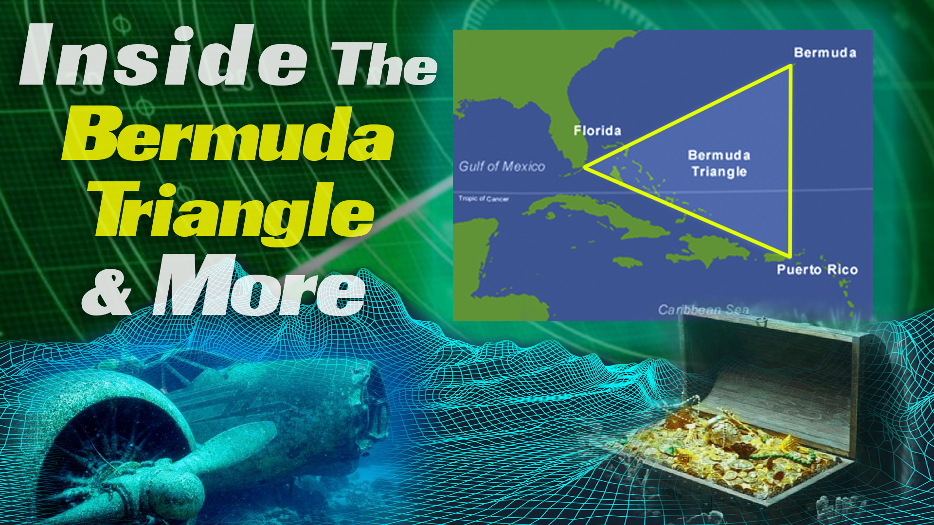 bermuda triangle tropical fish