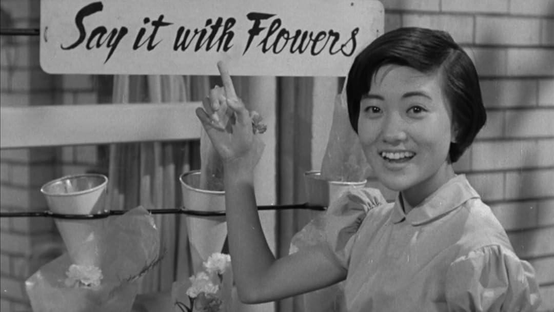 無料ダウンロード 月丘夢路 画像 月丘夢路 若い頃 画像