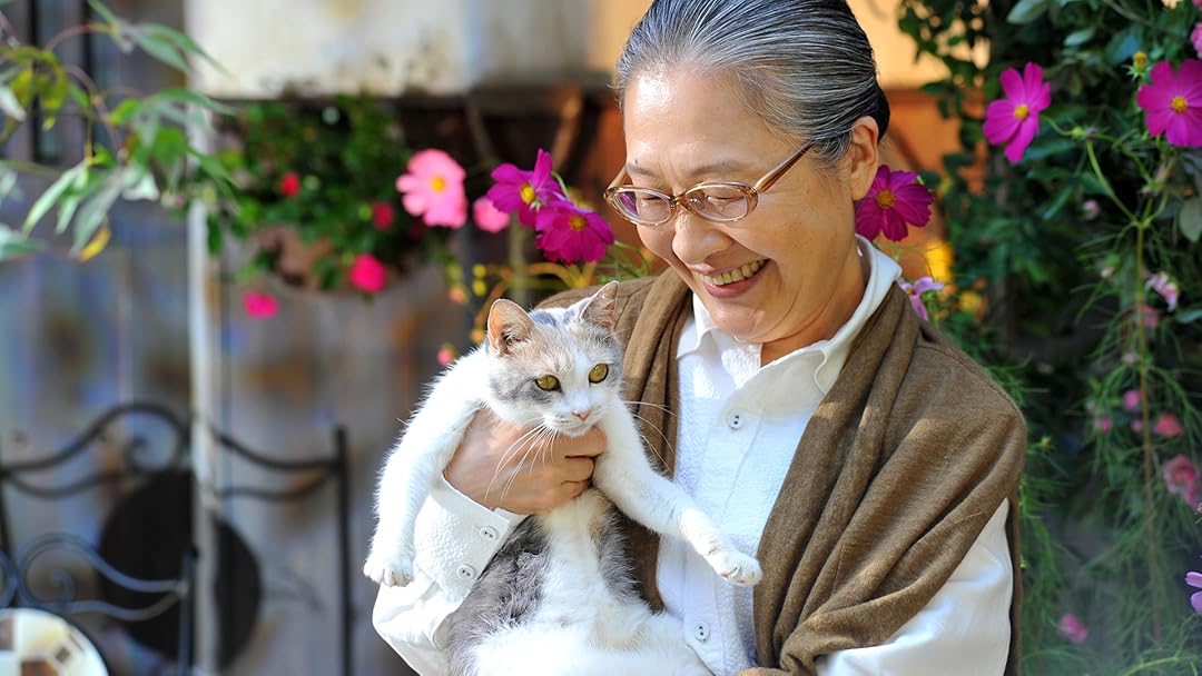 Amazon Co Jp 先生と迷い猫 イッセー尾形 染谷将太 北乃きい ピエール瀧 もたいまさこ 岸本加世子 深川栄洋 Prime Video