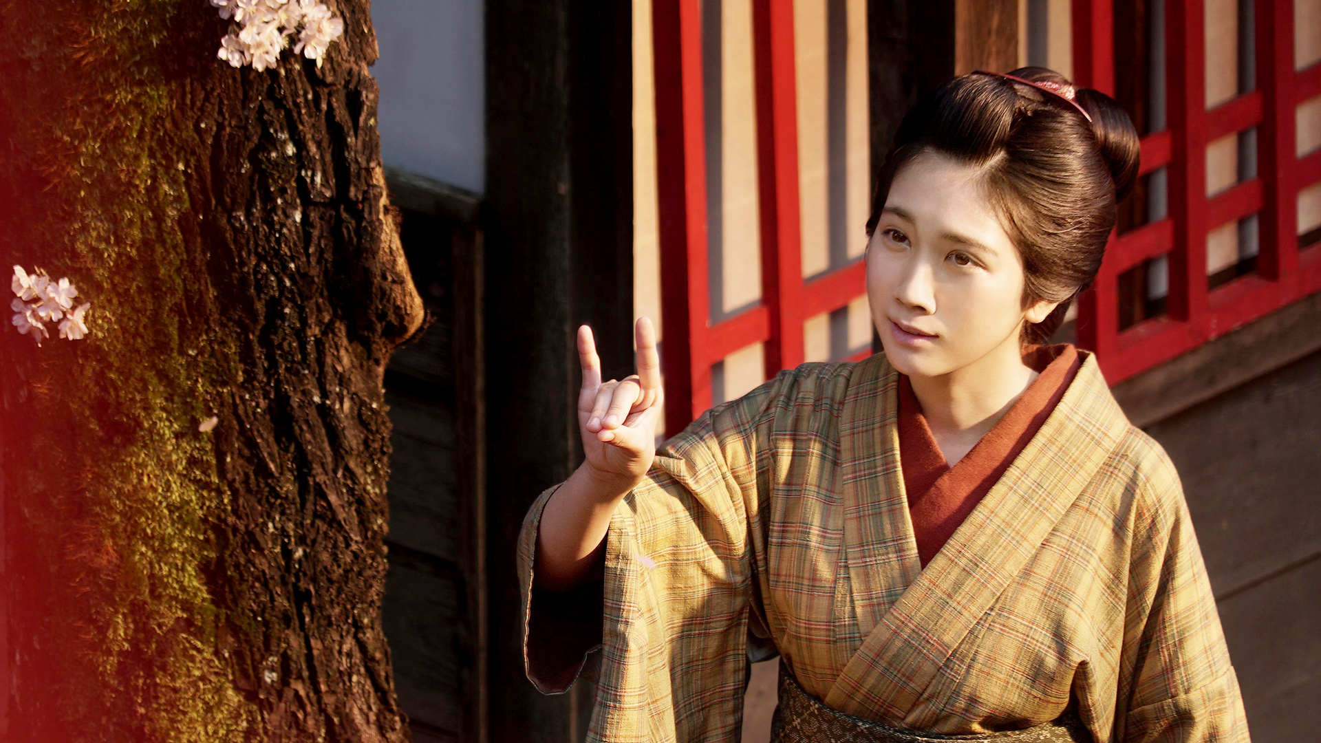 予約販売品 Dvd みをつくし料理帖 豪華版 Dvd 送料無料 配送員設置送料無料 Www Iacymperu Org