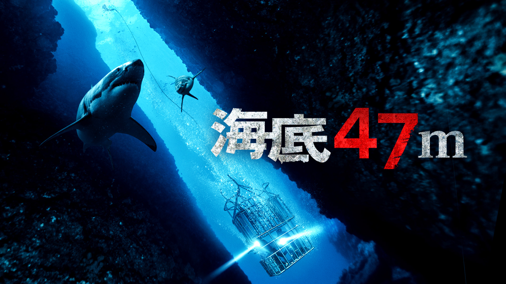 Amazon Co Jp 海底47m 字幕版 クレア ホルト マンディ ムーア サンティアゴ セグラ ヤニ ゲルマン マシュー モディーン ジェームズ ハリス マーク レーン ヨハネス ロバーツ アーネスト リエラ Prime Video Amazon Co Jp 海底47m 字幕版 クレア ホルト マンディ ムーア サンティアゴ セグラ ヤニ ゲルマン マシュー モディーン ジェームズ ハリス マーク レーン ヨハネス ロバーツ アーネスト リエラ Prime Video