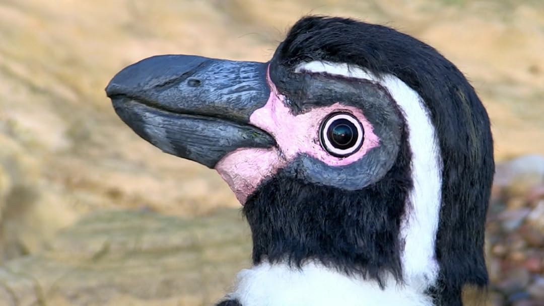 Amazon Co Jp 潜入 スパイカメラ ペンギン 極限の親子愛 字幕版 を観る Prime Video