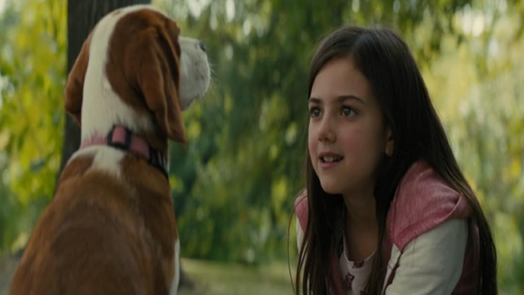 Amazon Co Jp 僕のワンダフル ジャーニー 吹替版 を観る Prime Video