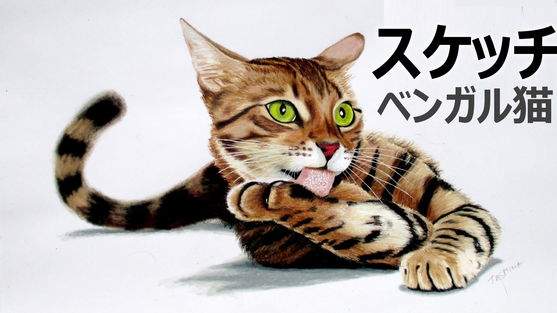 ベルヘイムの迷い猫