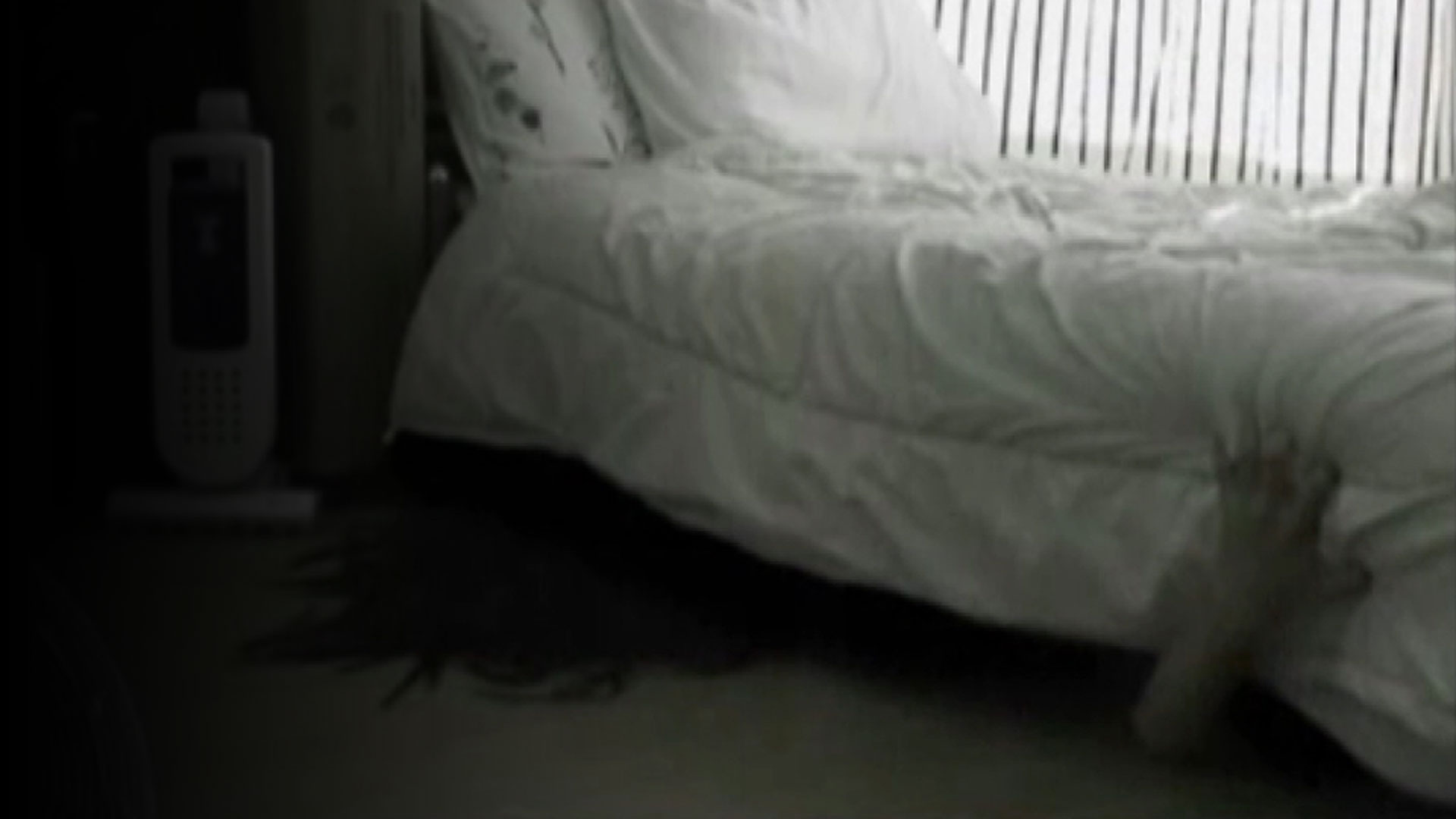 Amazon Co Jp 本当の心霊動画 影 4を観る Prime Video