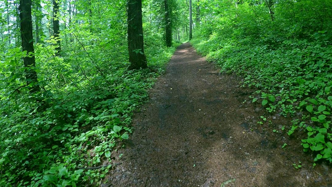 Amazon Co Jp リラックスと癒しの自然音と景色 新緑の山歩き 癒しと眠りの自然動画 ヒーリング リフレッシュを観る Prime Video