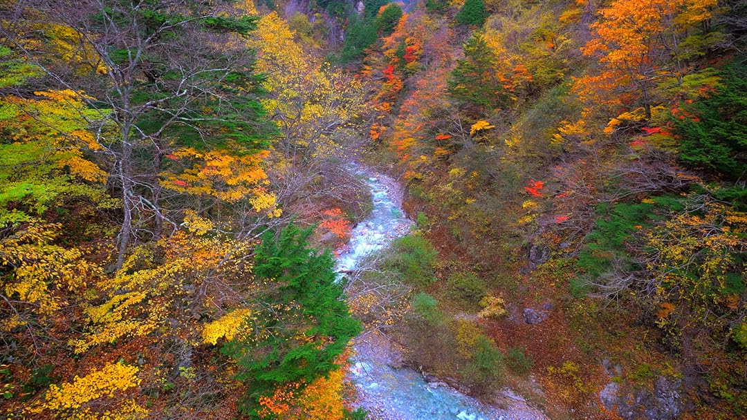 Amazon Co Jp リラックスと癒しの自然音と景色 渓谷の秋 自然動画でくつろぎの時間 ヒーリング リフレッシュを観る Prime Video