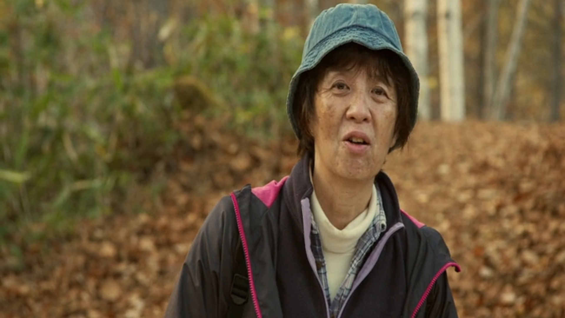 Amazon Co Jp 滝を見にいくを観る Prime Video