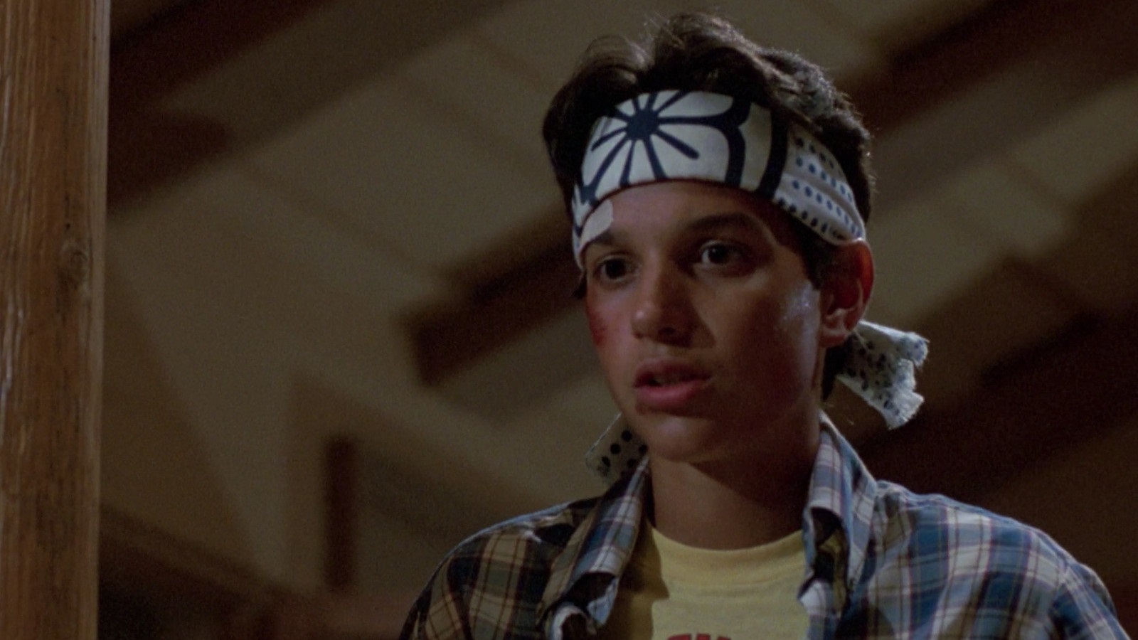 Amazon Co Jp ベスト キッド 字幕版 ラルフ マッチオ ノリユキ パット モリタ エリザベス シュー マーティン コーヴ Generic