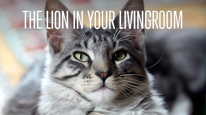 Amazon Com Watch The Lion In Your Living Room Prime Video