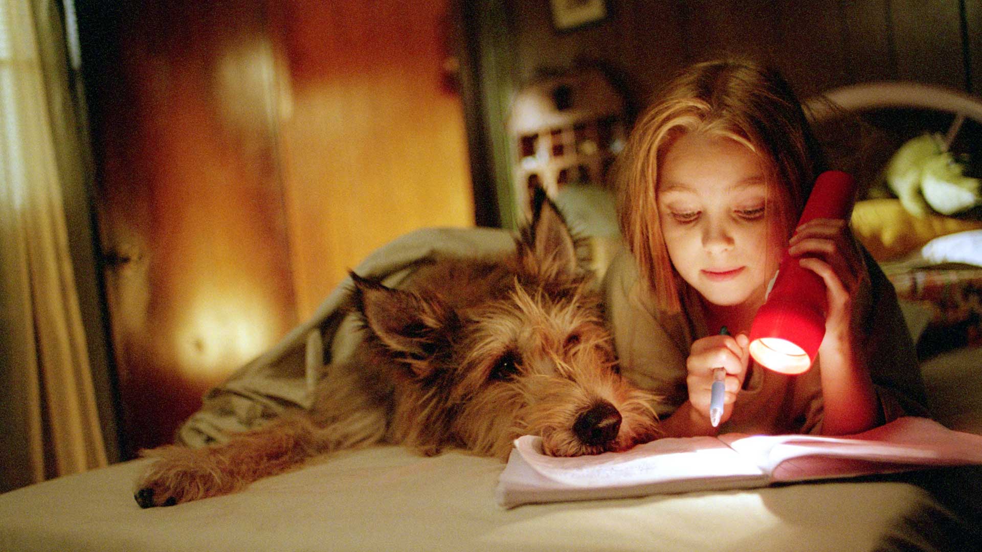 Watch Hoot Prime Video