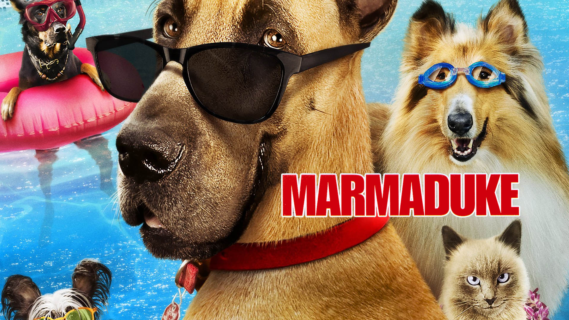 Watch Cats Dogs Prime Video