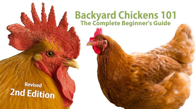 Amazon Com Watch Backyard Chickens 101 The Complete Beginner S