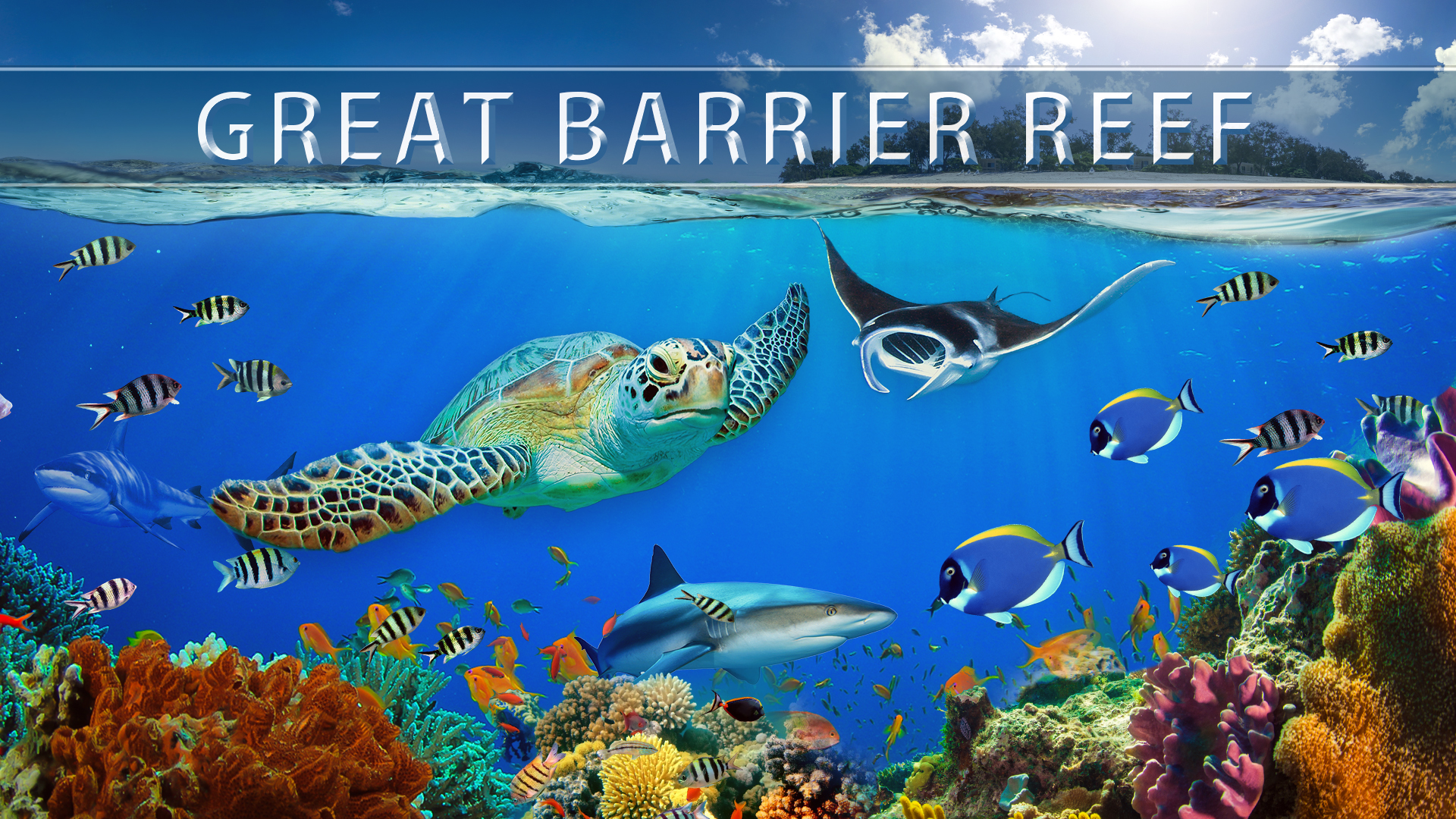 Into the blue 2 the reef 720p or 1080p blu-ray Into the blue 2 the reef 720p or 1080p blu-ray