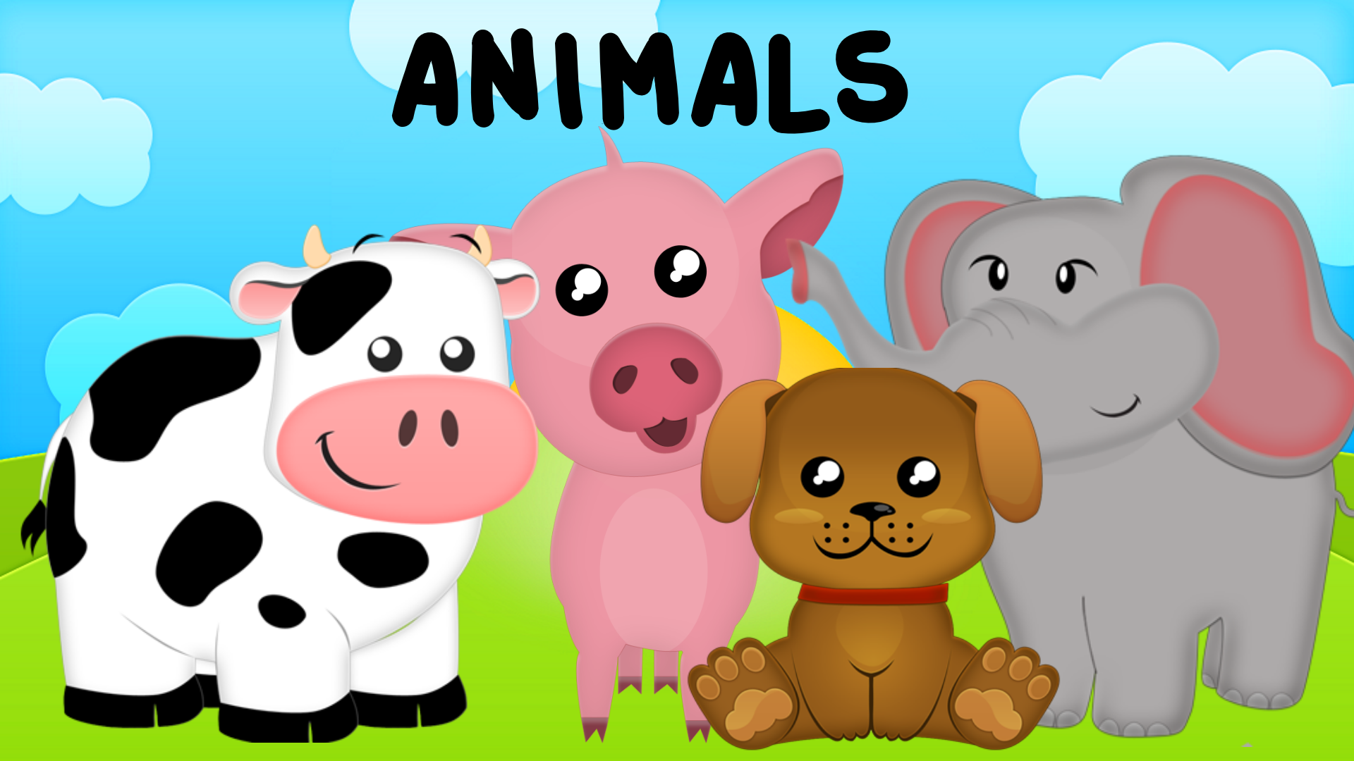 Watch Animals for kids Prime Video