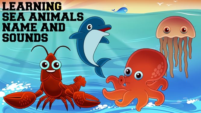 Watch Learning Sea Animals Names And Sounds Prime Video