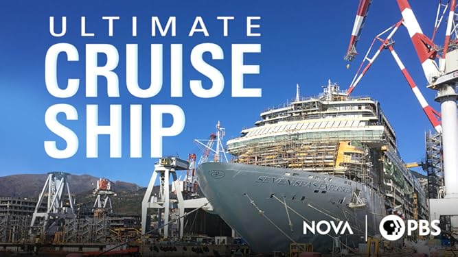 Watch Why Bridges Collapse Prime Video