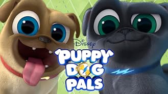 Gary Anthony Williams Movies Tv And Bio Prime Video