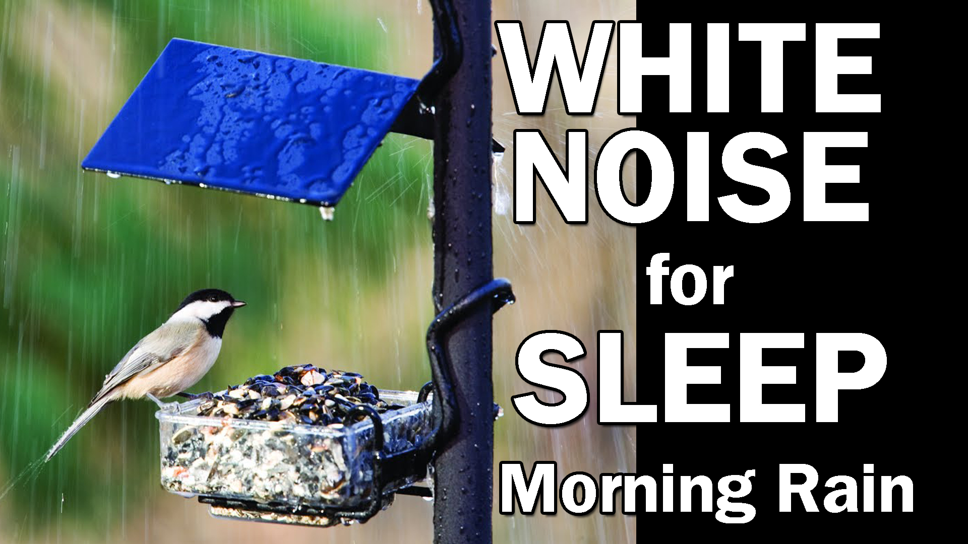 Watch Morning Rain Storm With Birds Singing Relaxing Sleep Sounds 10 Hours Prime Video