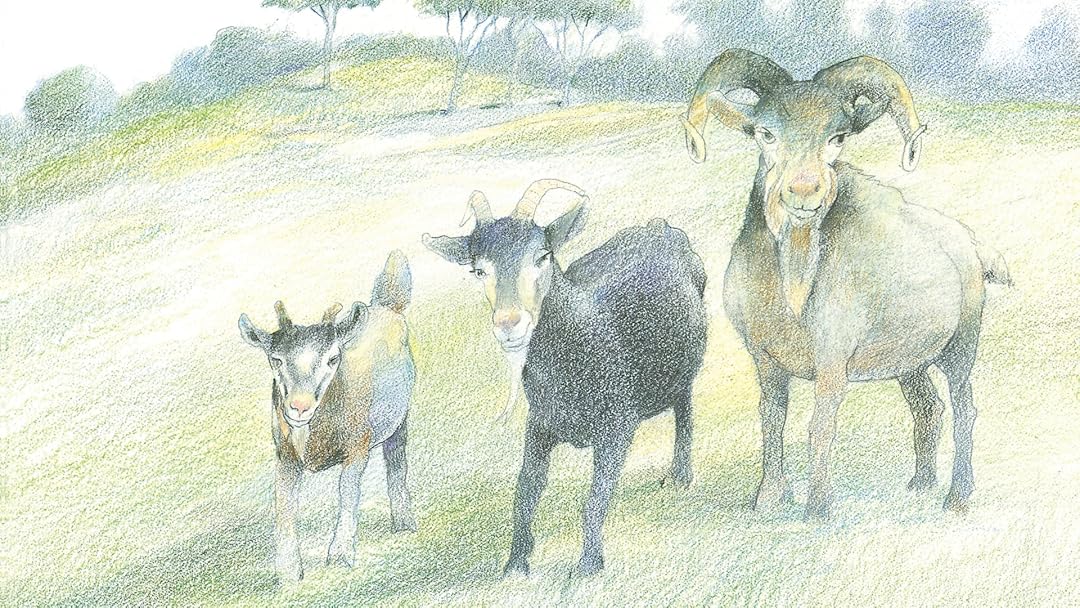 Amazon Com The Three Billy Goats Gruff The Three Little Pigs