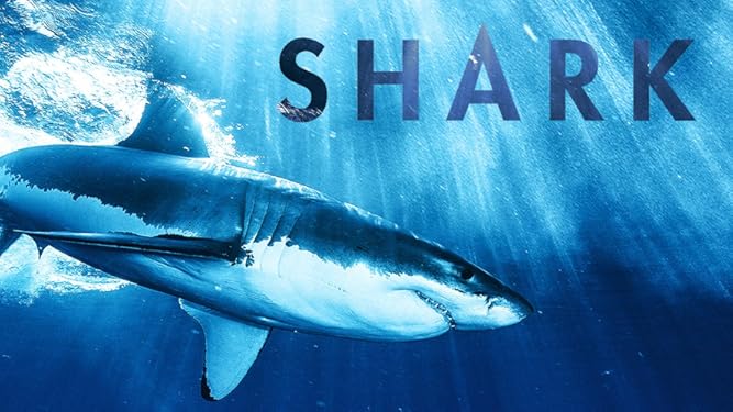 Watch Shark Prime Video