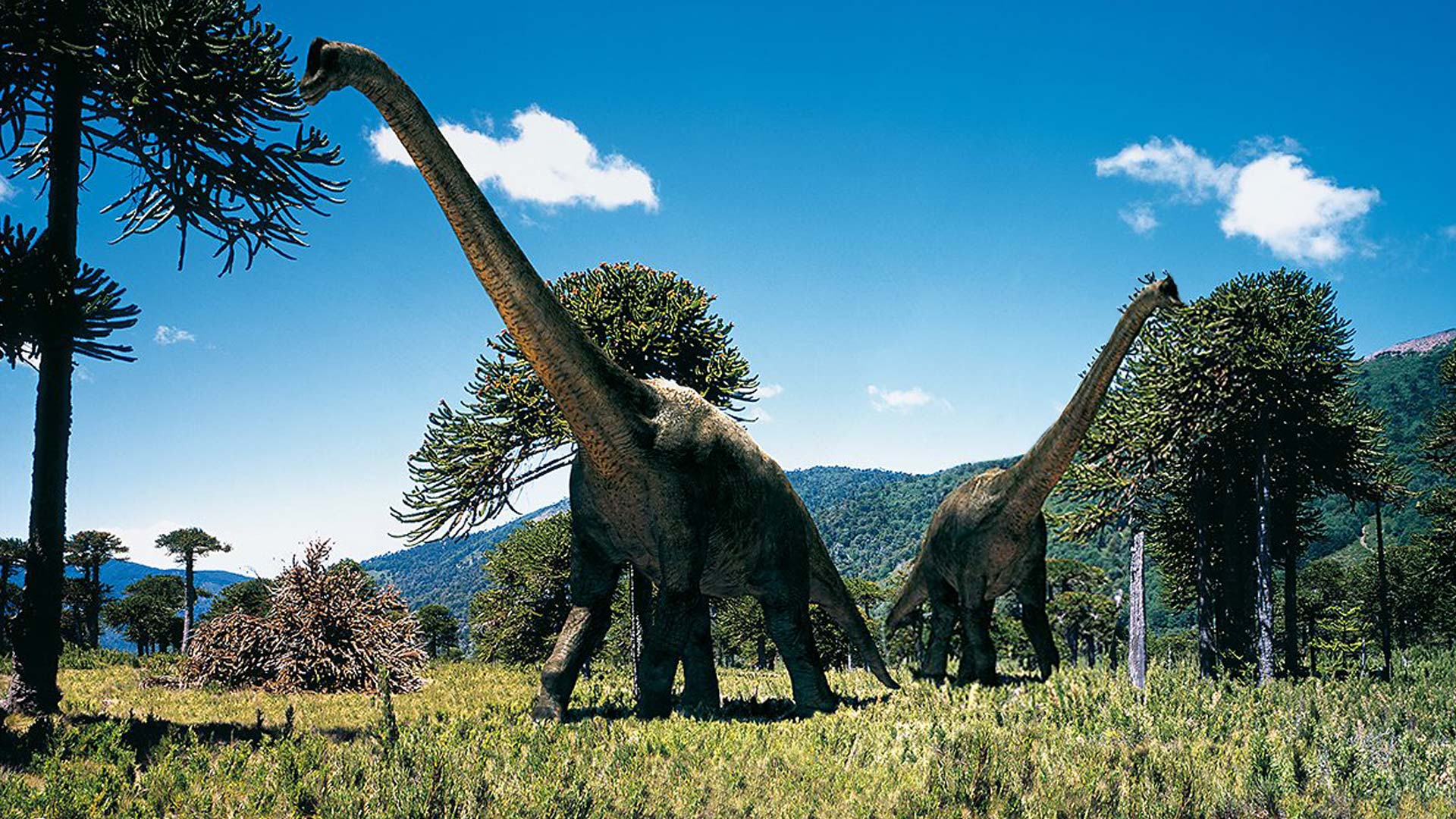walking with dinosaurs putlocker
