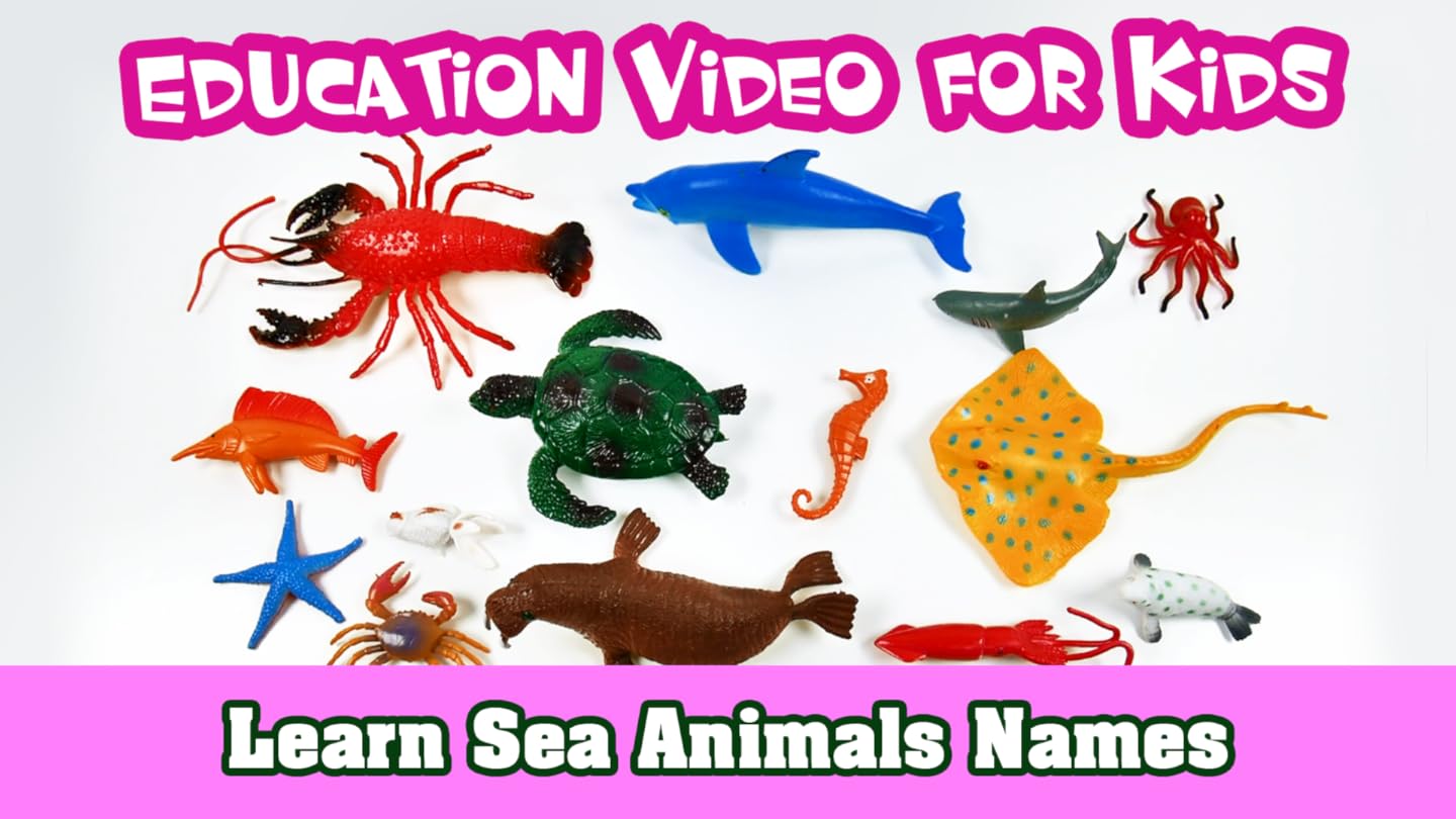 Watch Learn Sea Animals Names - Education Video for Kids | Prime Video