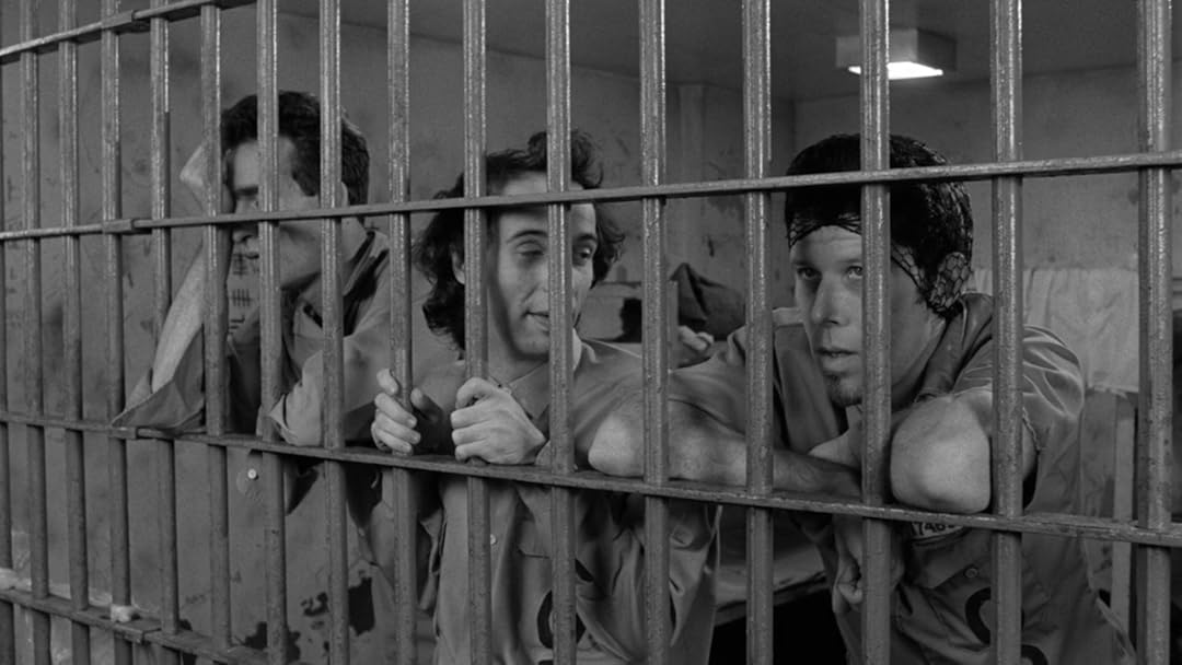 Watch Down By Law Prime Video