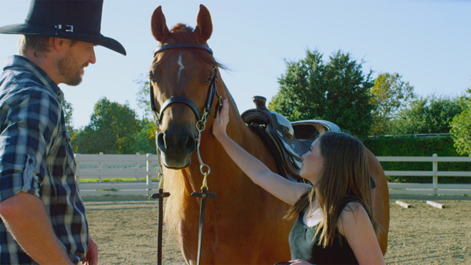 Watch The Winter Stallion Prime Video