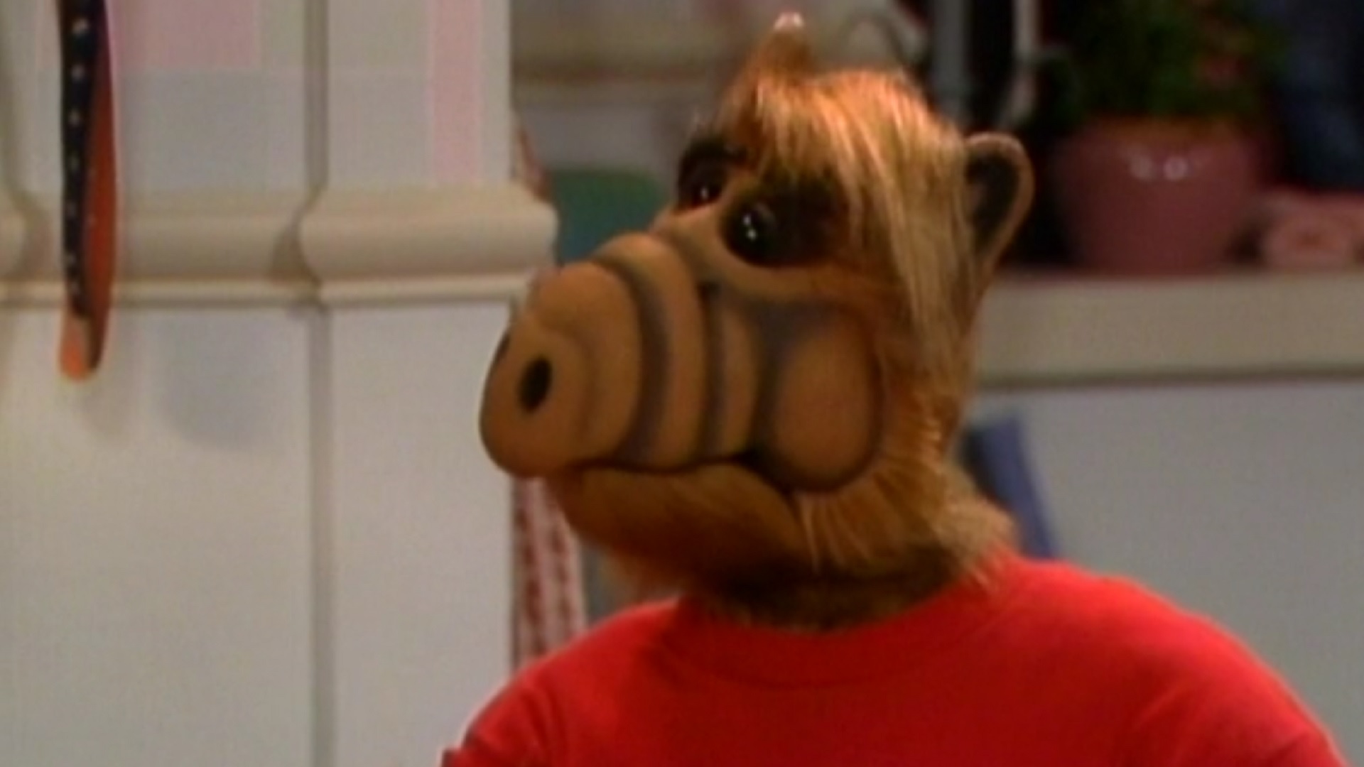 alf prime video