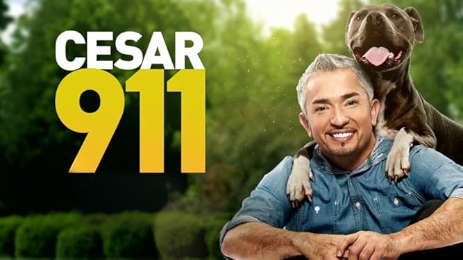 Watch Cesar 911 Season 3 Prime Video Watch Cesar 911 Season 3 Prime Video