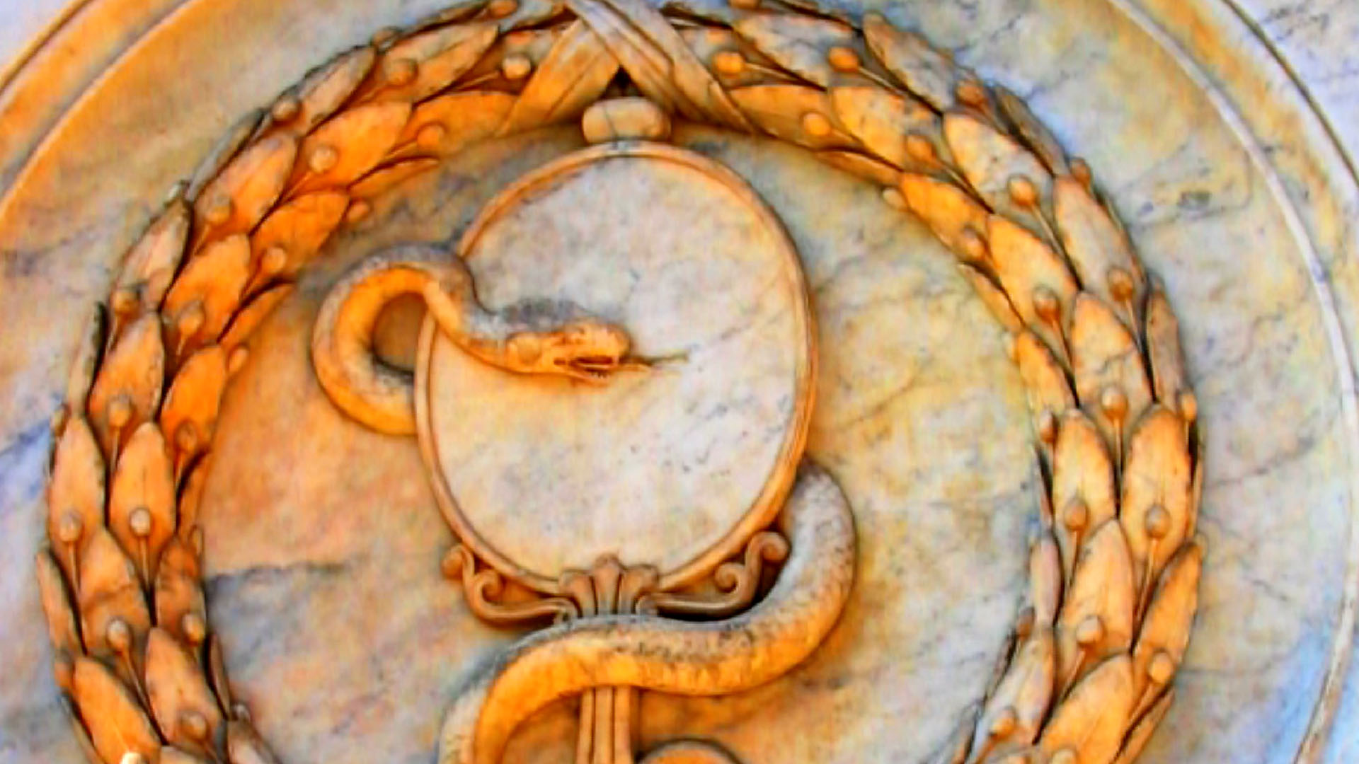 Watch The Serpent Cult Origins Of Sacred Religion Prime Video