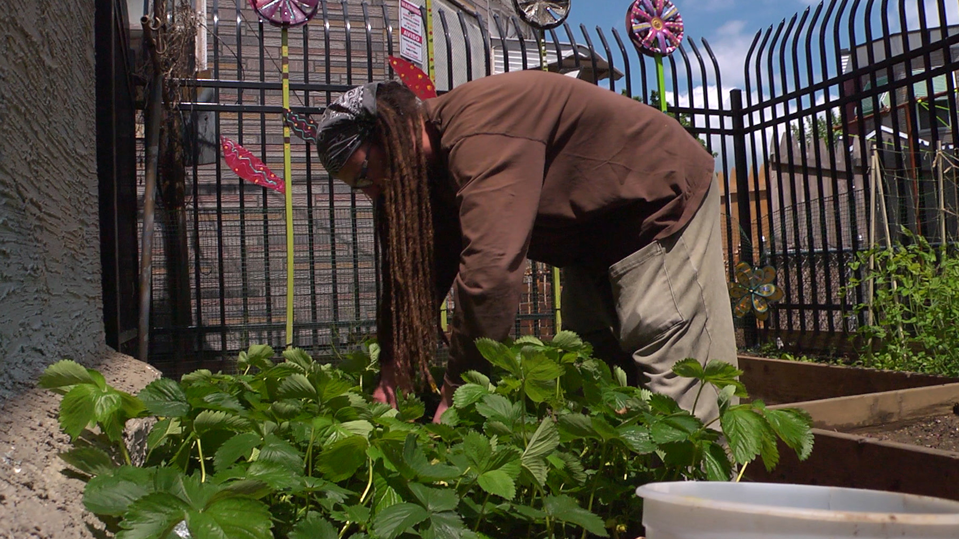Watch Clip The Simple Way The Greening of Philadelphia's Concrete
