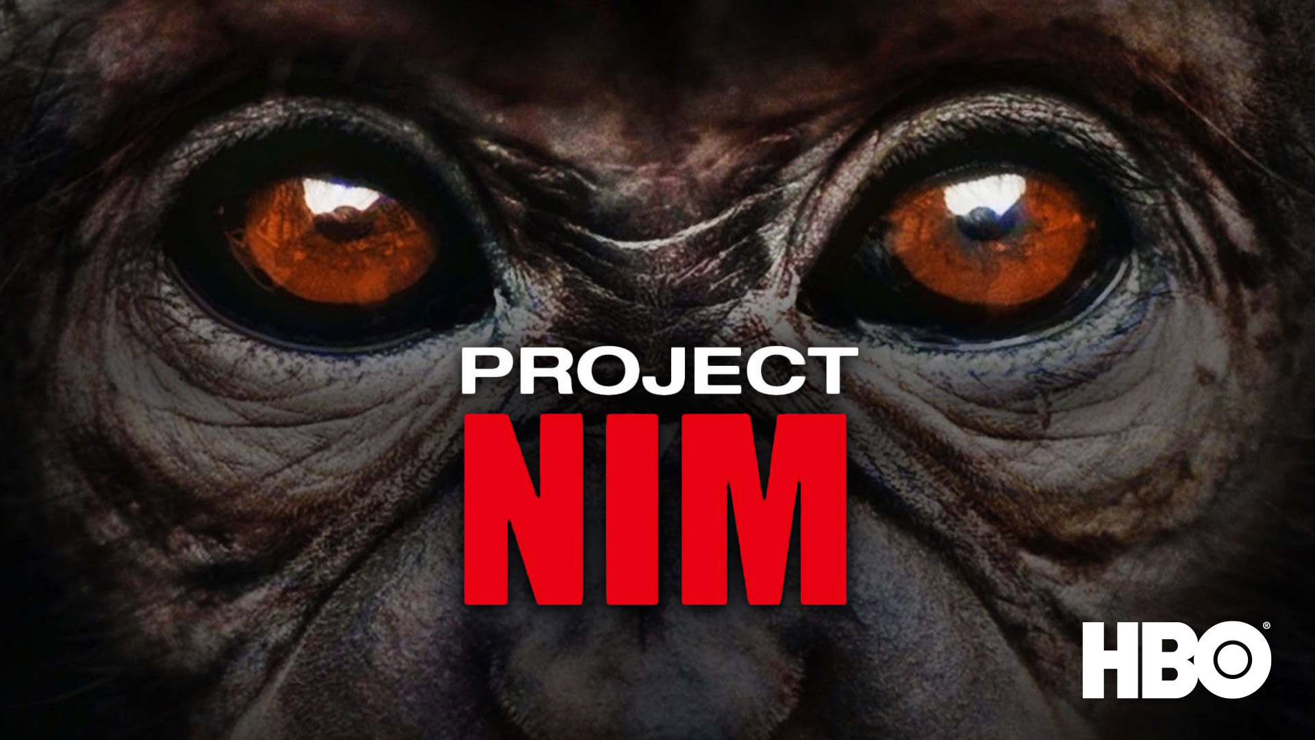 Watch Mr Church Prime Video