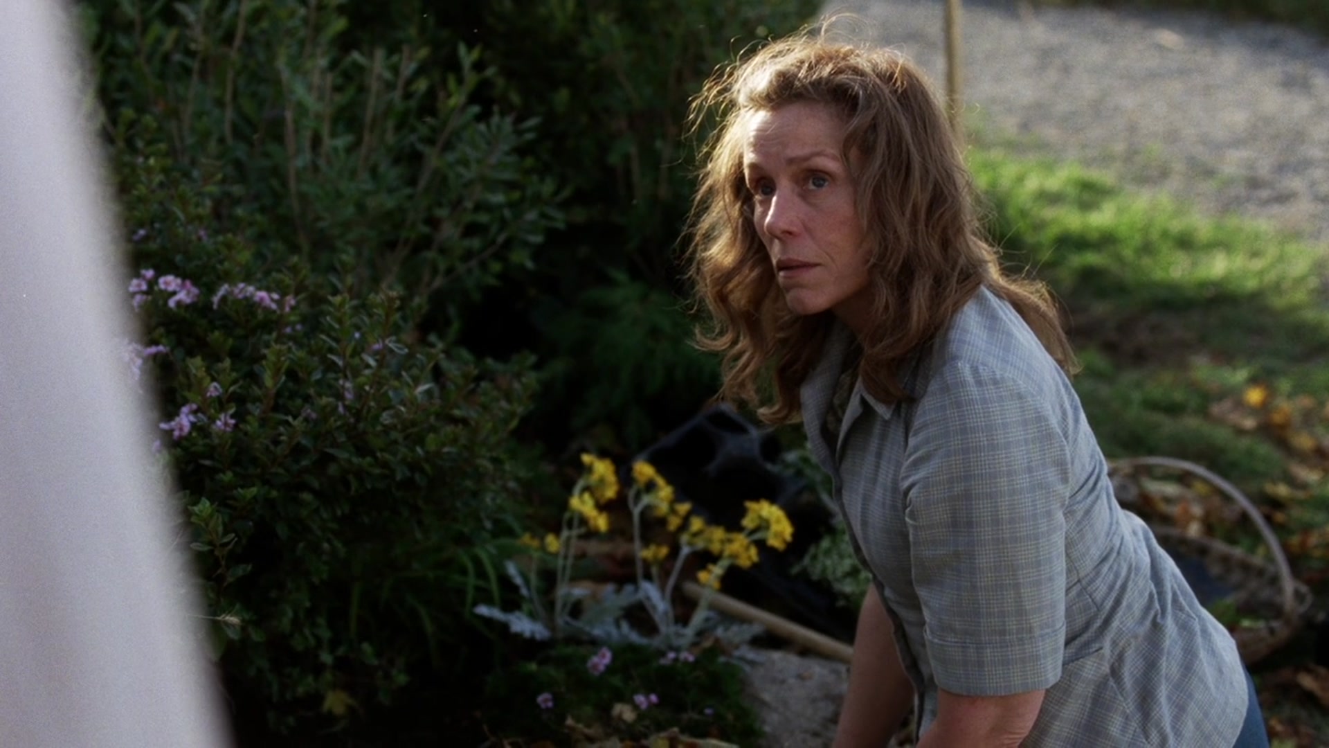 Watch My Brilliant Friend Season 2 Prime Video