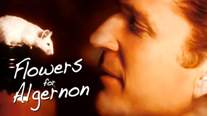 Amazon.com: Flowers for Algernon: Matthew Modine, Kelli Williams, Bonnie Bedelia, Jeff Bleckner