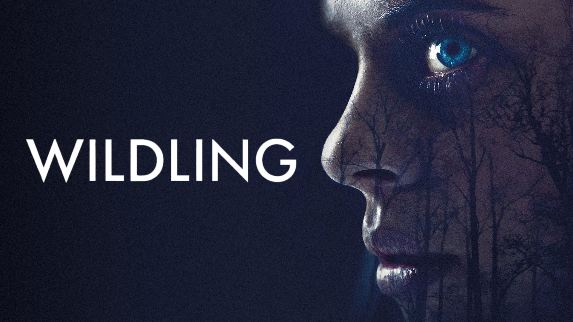 Watch Down Prime Video