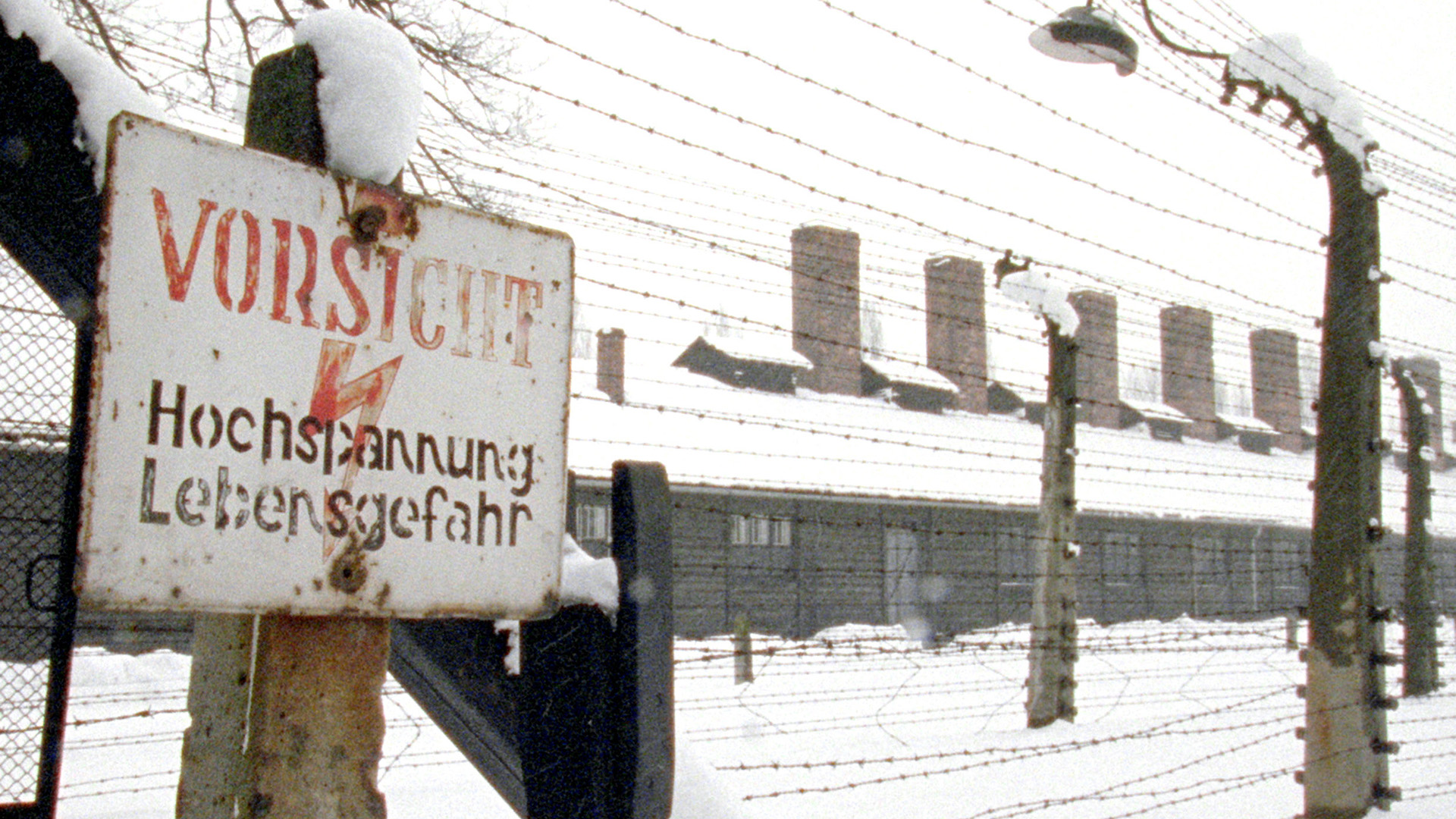 Watch The Auschwitz Trial Prime Video