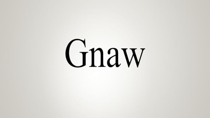 Amazon Com Watch How To Pronounce Gnaw Prime Video