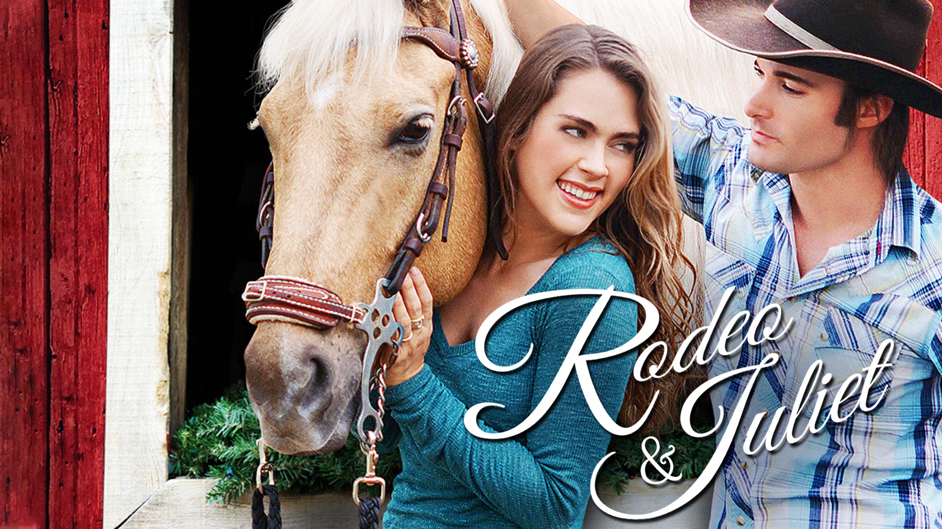 30+ The Horse Dancer Movie Pictures
