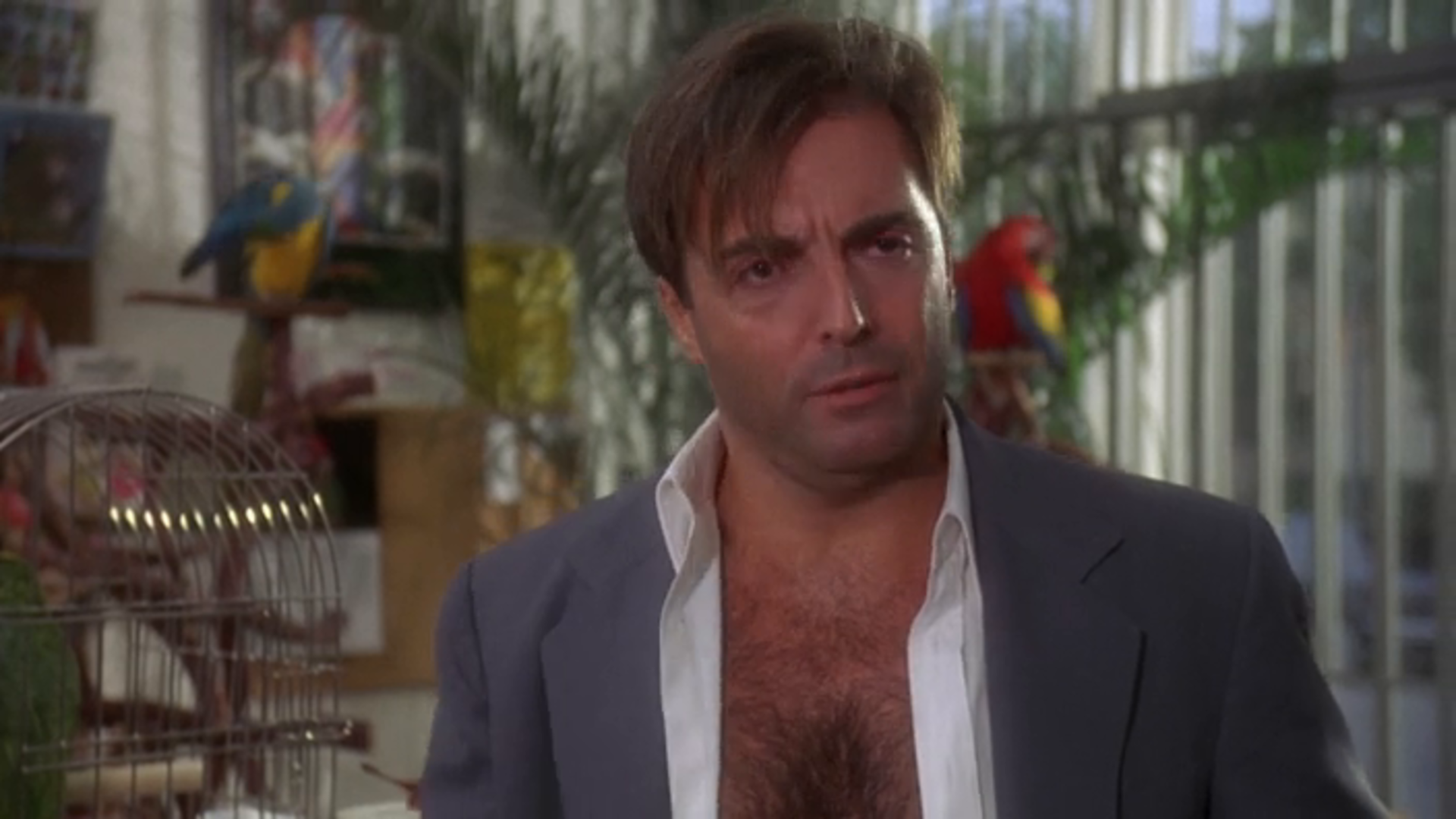 Films Et Séries Tv Avec Armand Assante Watch Fatal Instinct | Prime Video
