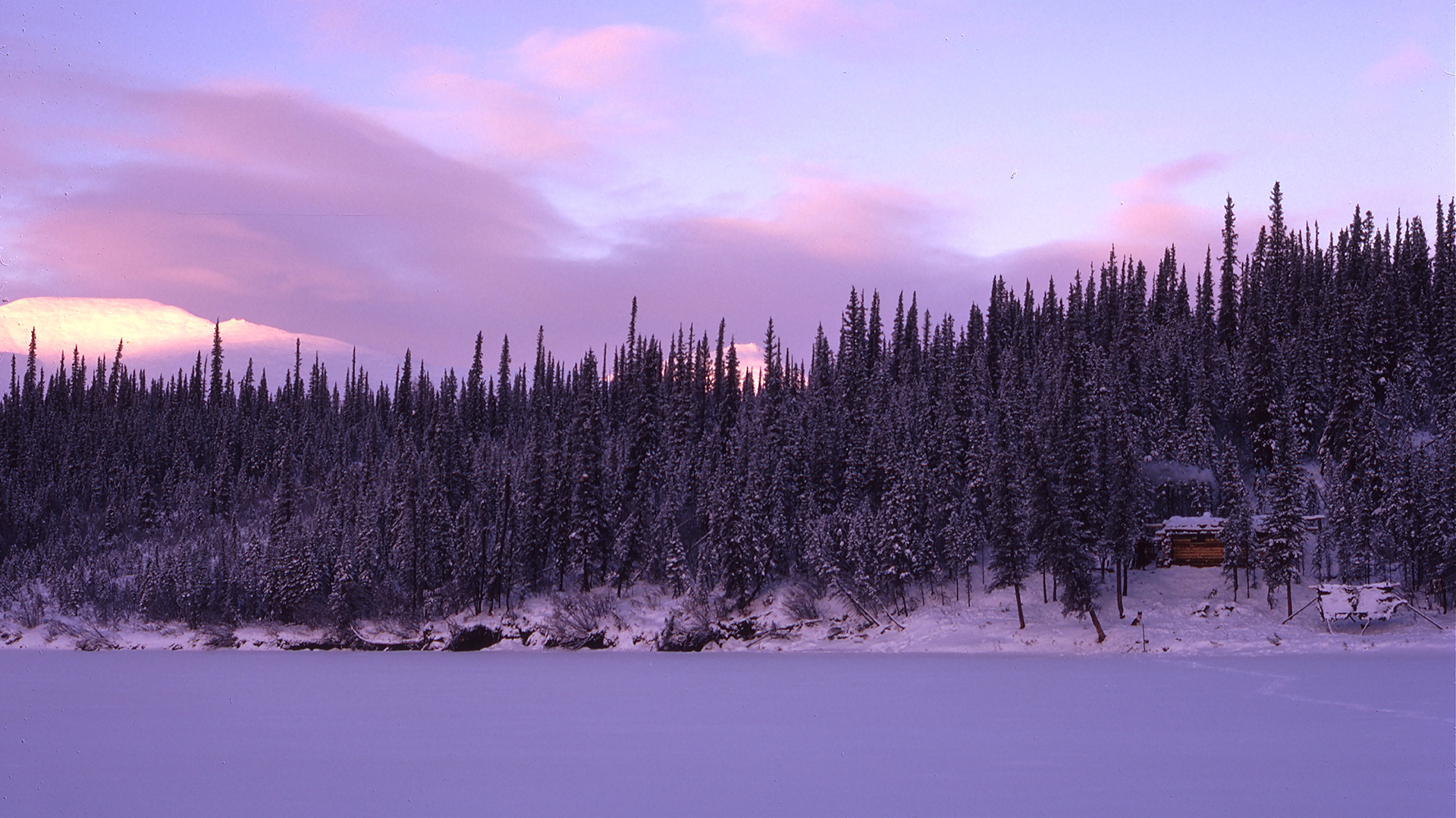 Arctic Daughter A Lifetime of Wilderness Jean Aspen